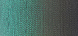 Tortoise - détail