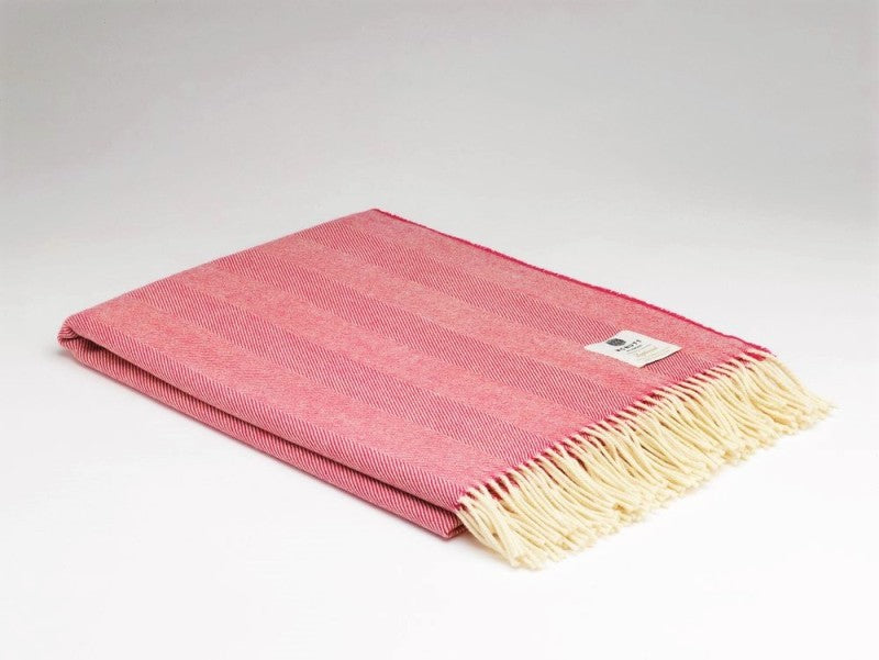 Couverture en laine d'agneau mérinos - Rose Framboise à Chevrons -  McNutt of Donegal